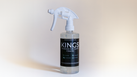 Why Investing in Professional Cleaning Services Saves You Time and Money